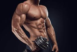 Benefits of Bodybuilding Sport